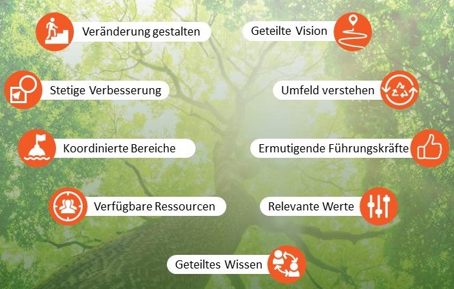 9 Elemente für organisationale Resilienz - Grafik © Prof. Heller