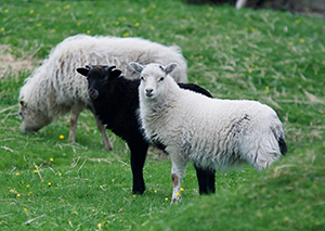 kristin-o-karlsen-2bqeIq3SHEU-unsplash