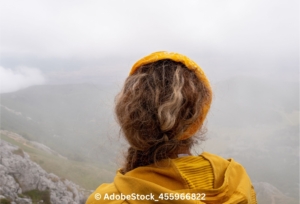 AdobeStock_455966822