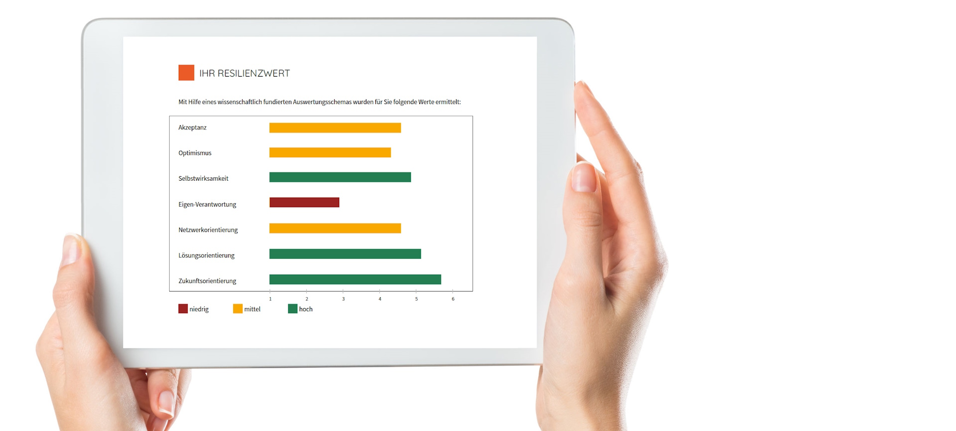 resilienztest-jutta-heller Resilienztest Jutta Heller