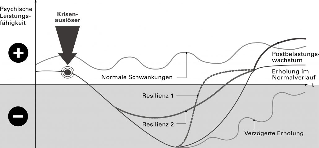 Definition individuelle Resilienz - situationselastisch reagieren