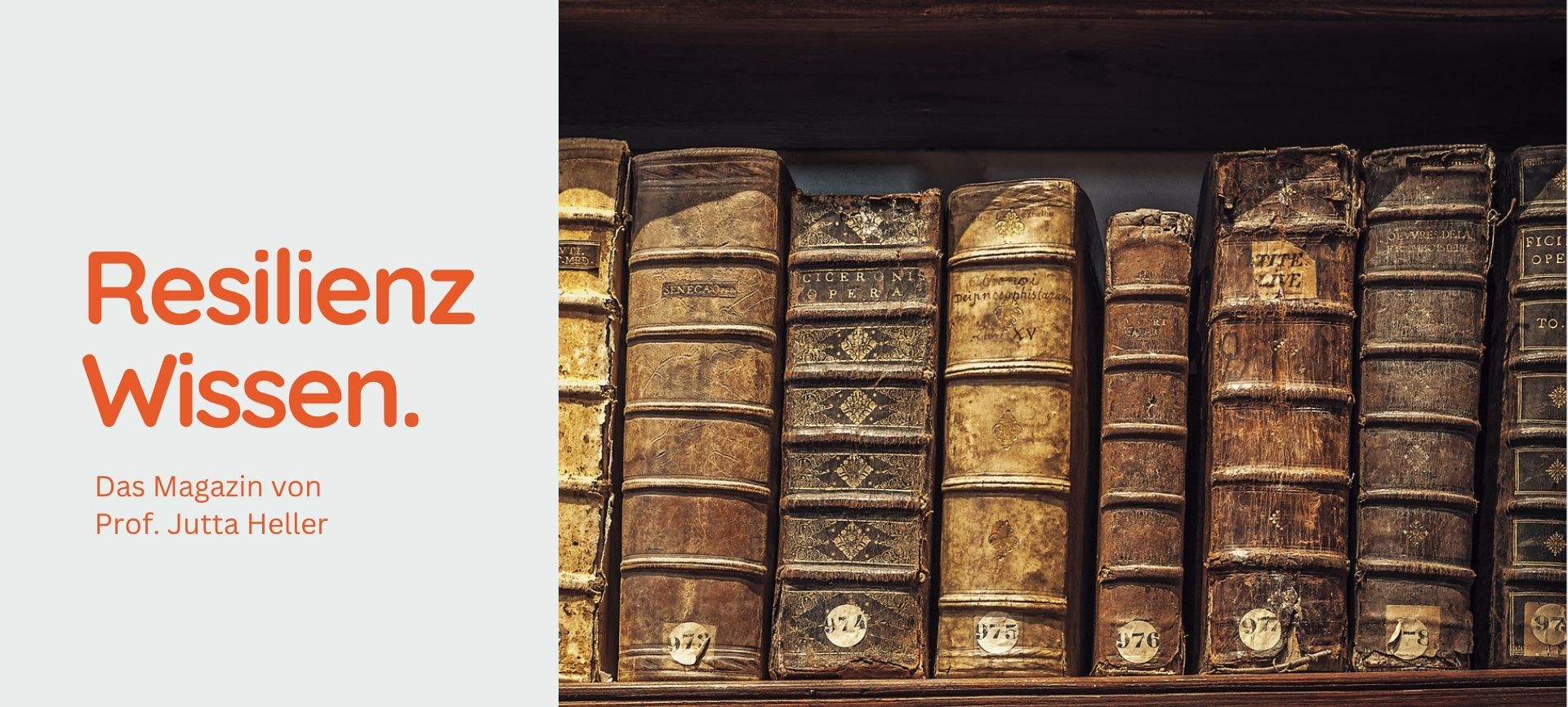 Antike Bücher mit Ledereinband im Regal verdeutlichen die theoretischen Grundlagen und die Forschung zu Resilienz.