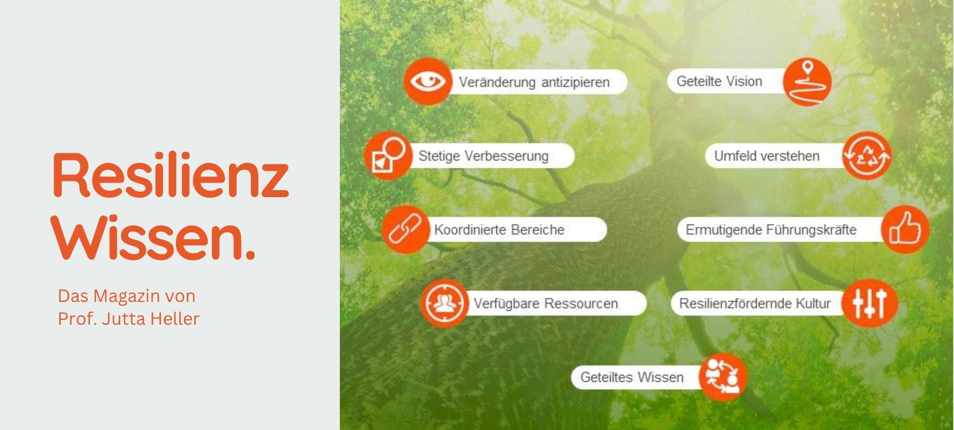 Organisationale Resilienz: Infografik mit Erfolgsfaktoren wie Führung, Vision und Kultur vor dem Hintergrund eines starken Laubbaums.