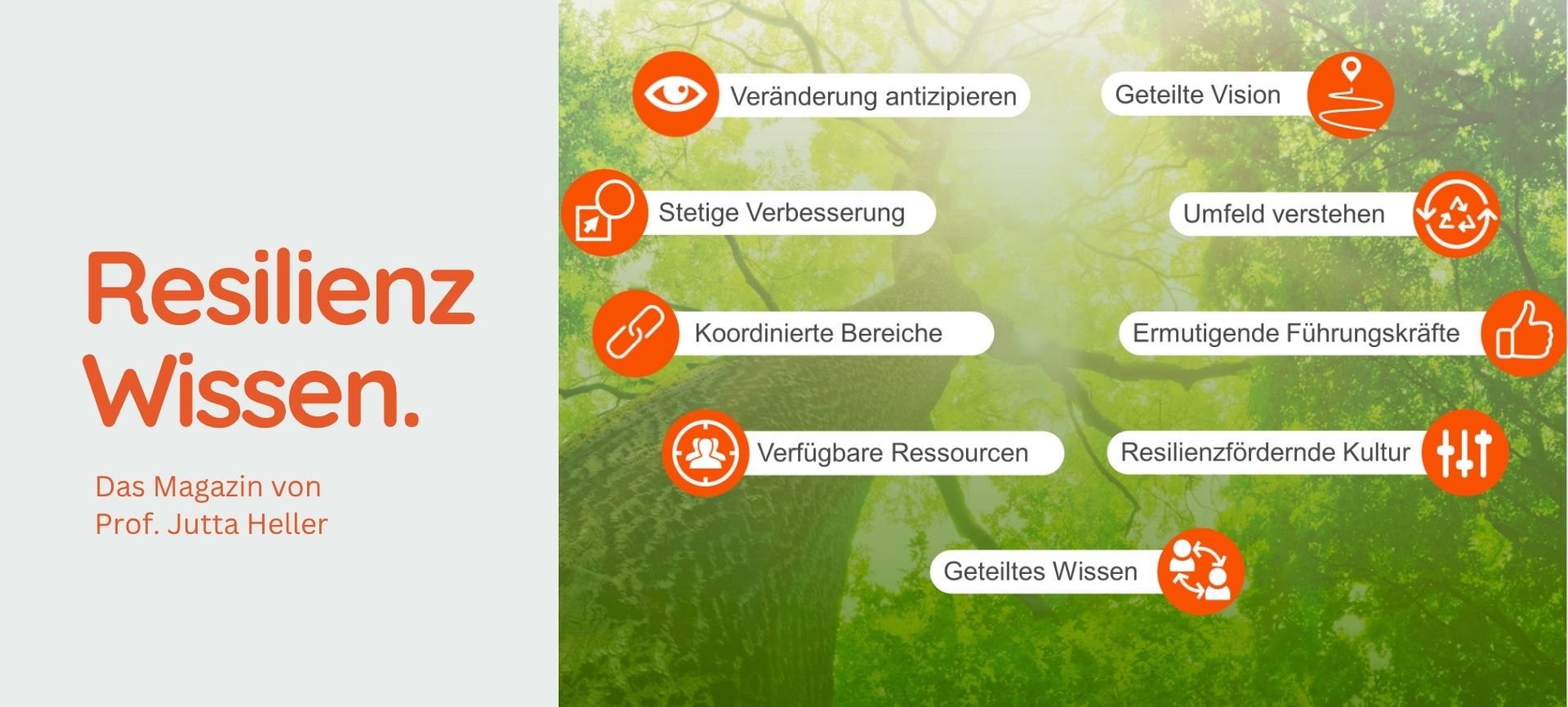 organisationales-resilienztraining Modell der 9 Resilienzschlüssel vor sonnendurchfluteter Baumkrone für ein organisationales Resilienztraining im Praxis-Pilotprojekt.