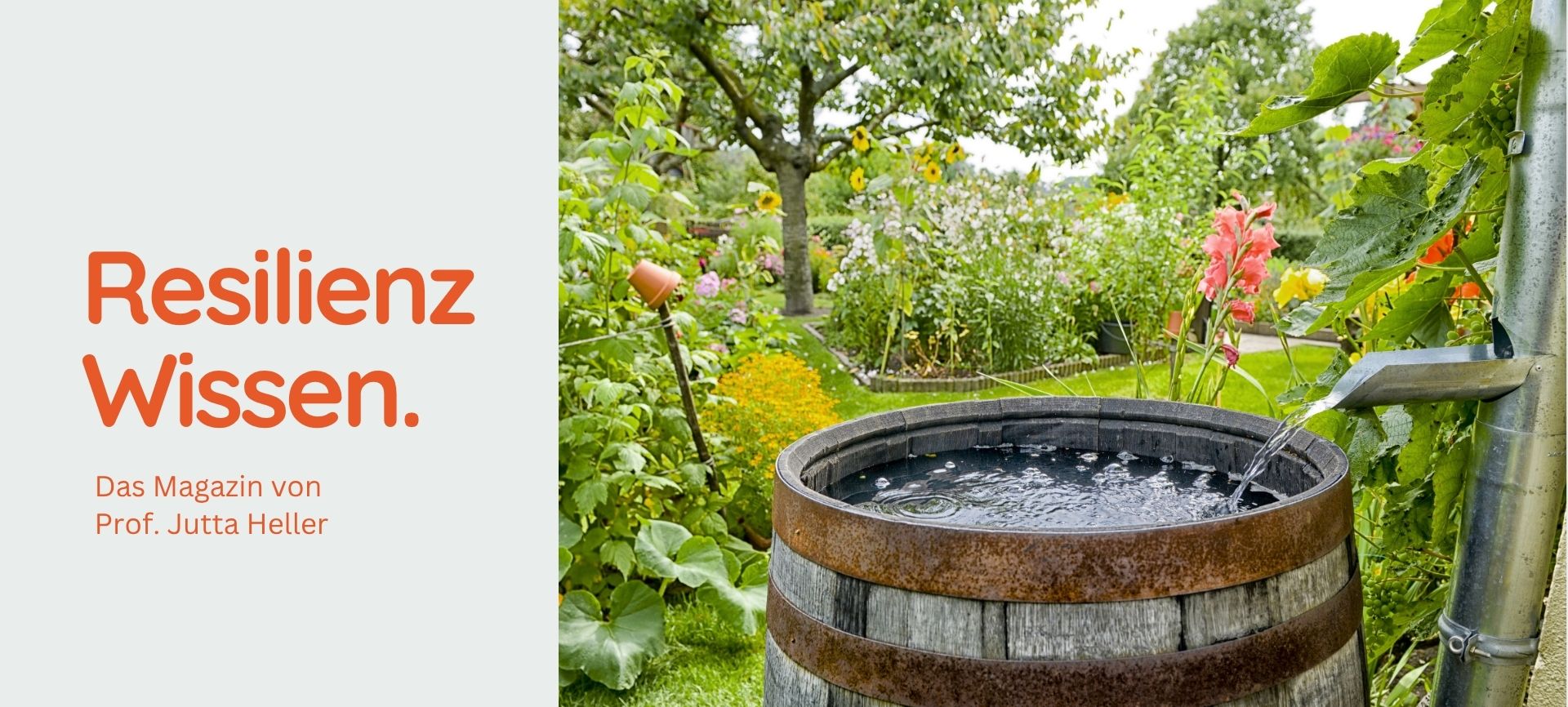 Ein gefülltes Wasserfass im farbenfrohen Naturgarten symbolisiert das Schöpfen aus vollen Quellen und visualisiert die Positive Psychologie als tragfähige Grundlage moderner Resilienzmethoden.