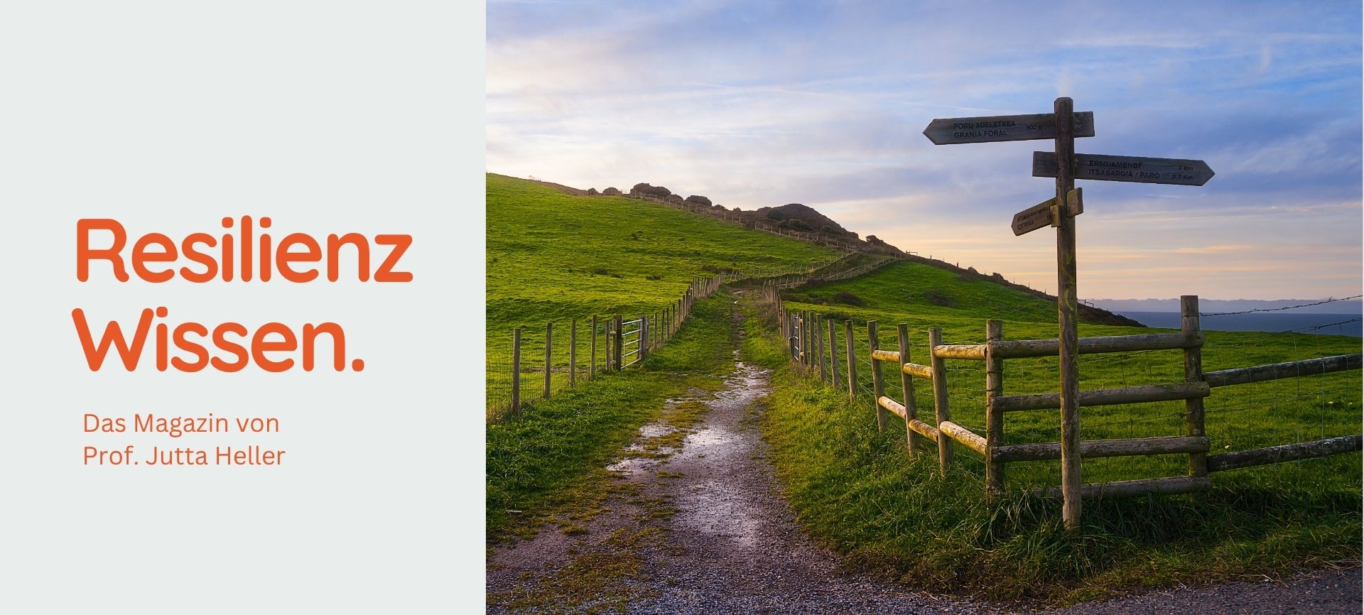 Ein hölzerner Wegweiser am Rand einer weiten Wiesenlandschaft zeigt verschiedene Pfade und veranschaulicht den Umgang mit Ungewissheitstoleranz im Verlauf des Weges.